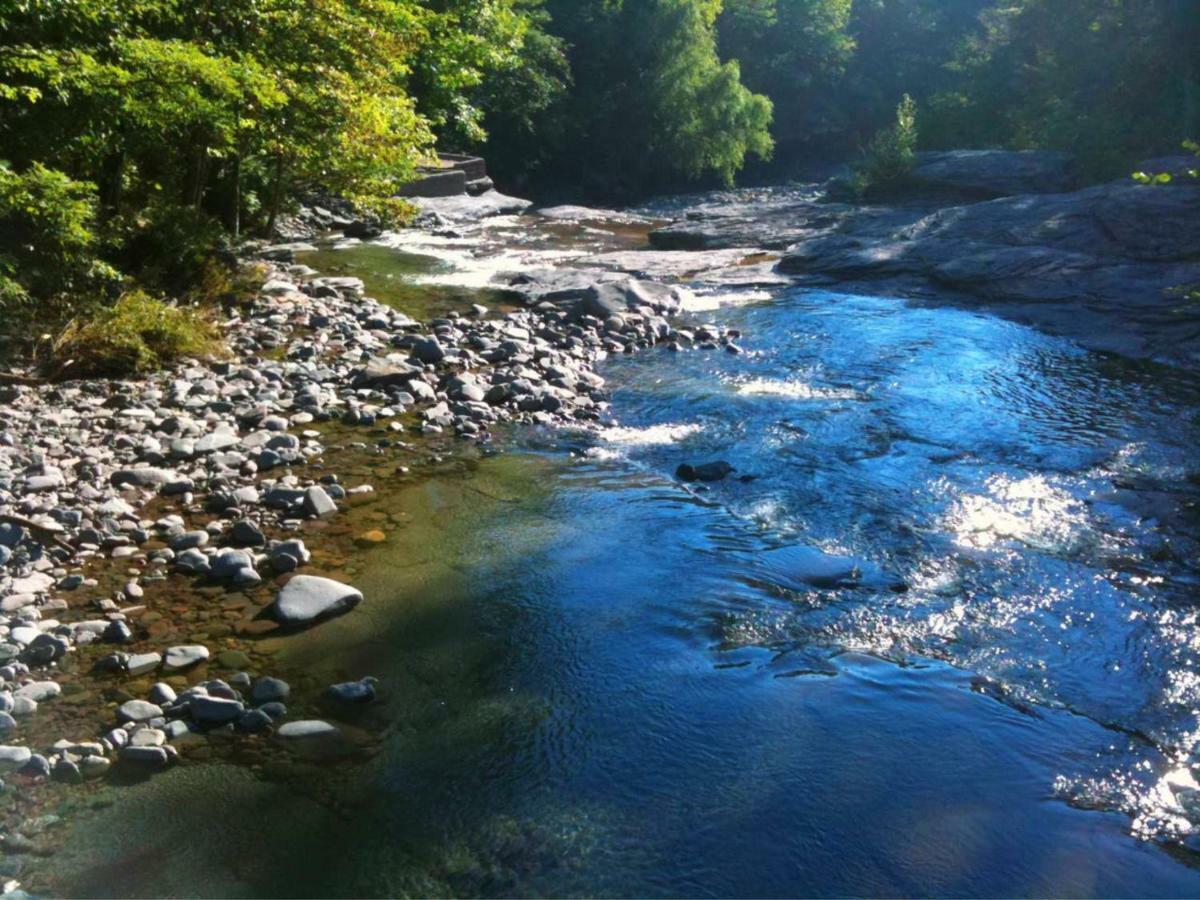 Play All Day - Sleep By The Stream At Night - Swimming Hole Palenville Exteriér fotografie